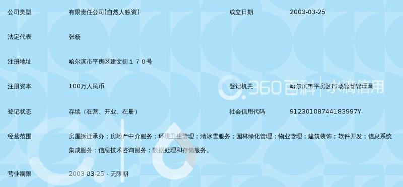 哈尔滨软件定制开发:解锁企业发展新引擎
